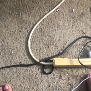 Meet your Posher, Brenda